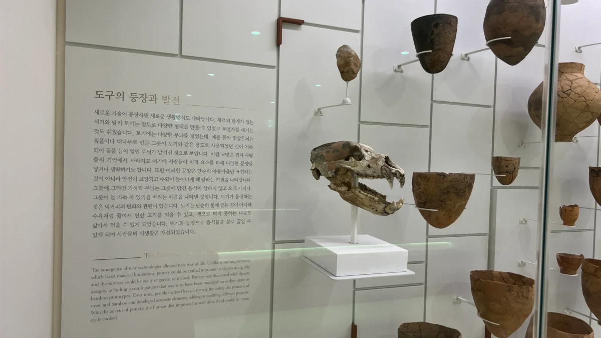 국립청주박물관 고고실
