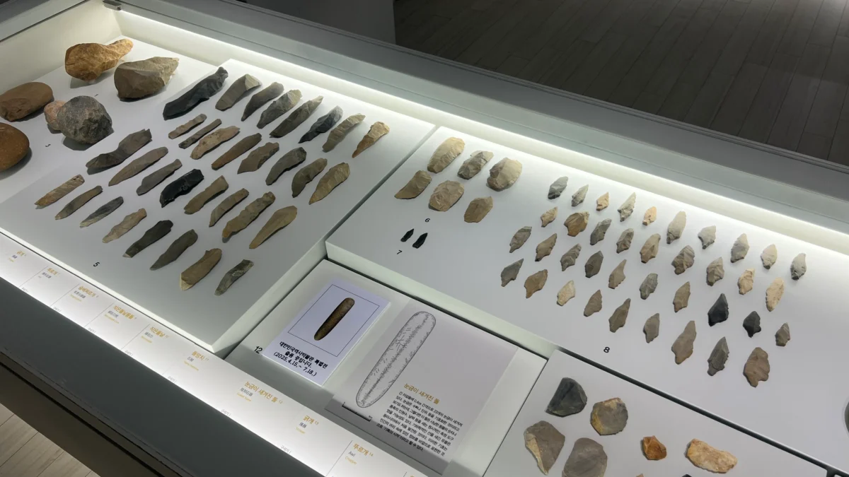 국립청주박물관 고고실