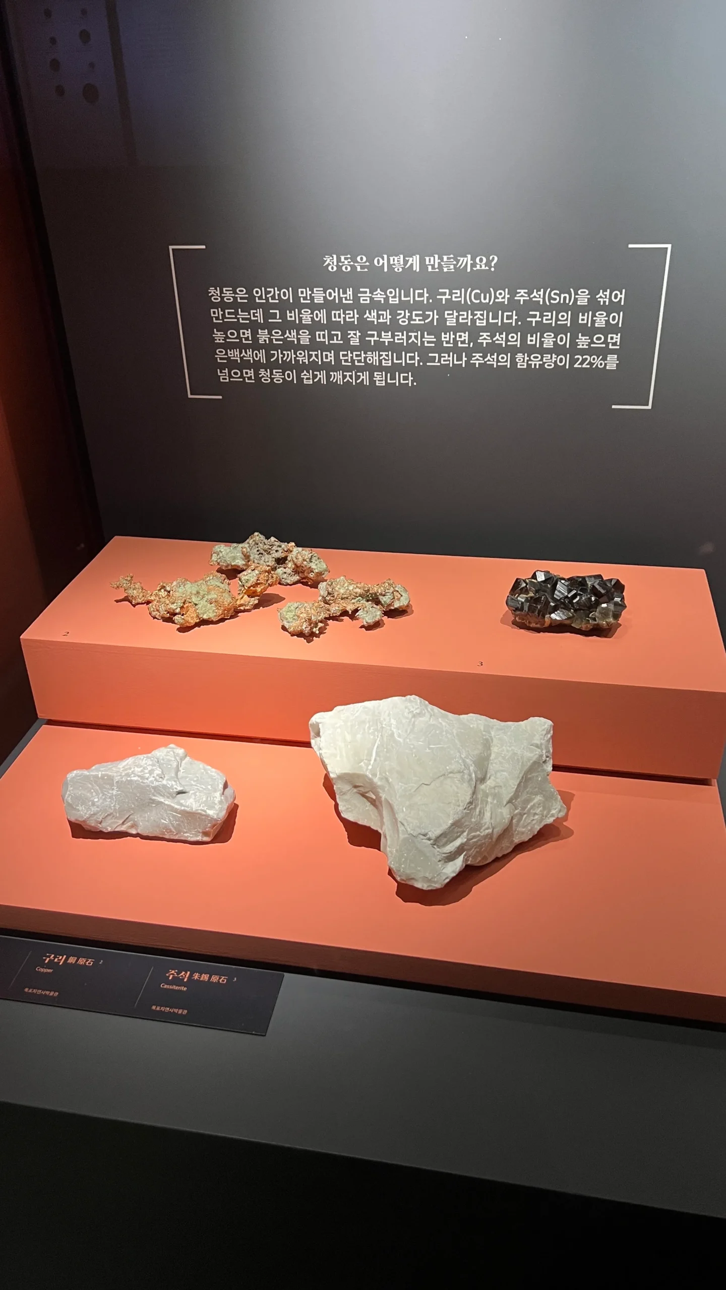 국립청주박물관 특별전시