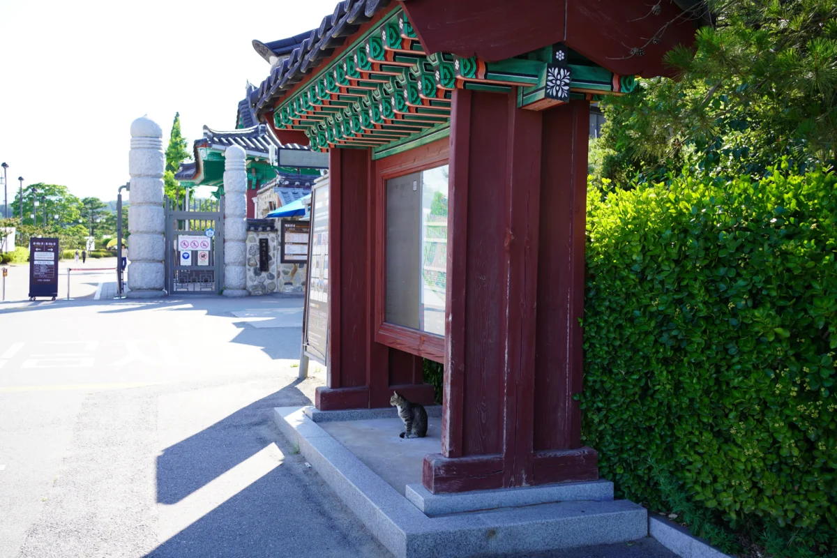 강릉시립박물관
