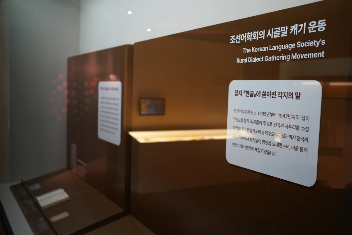 강릉시립박물관 특별전시