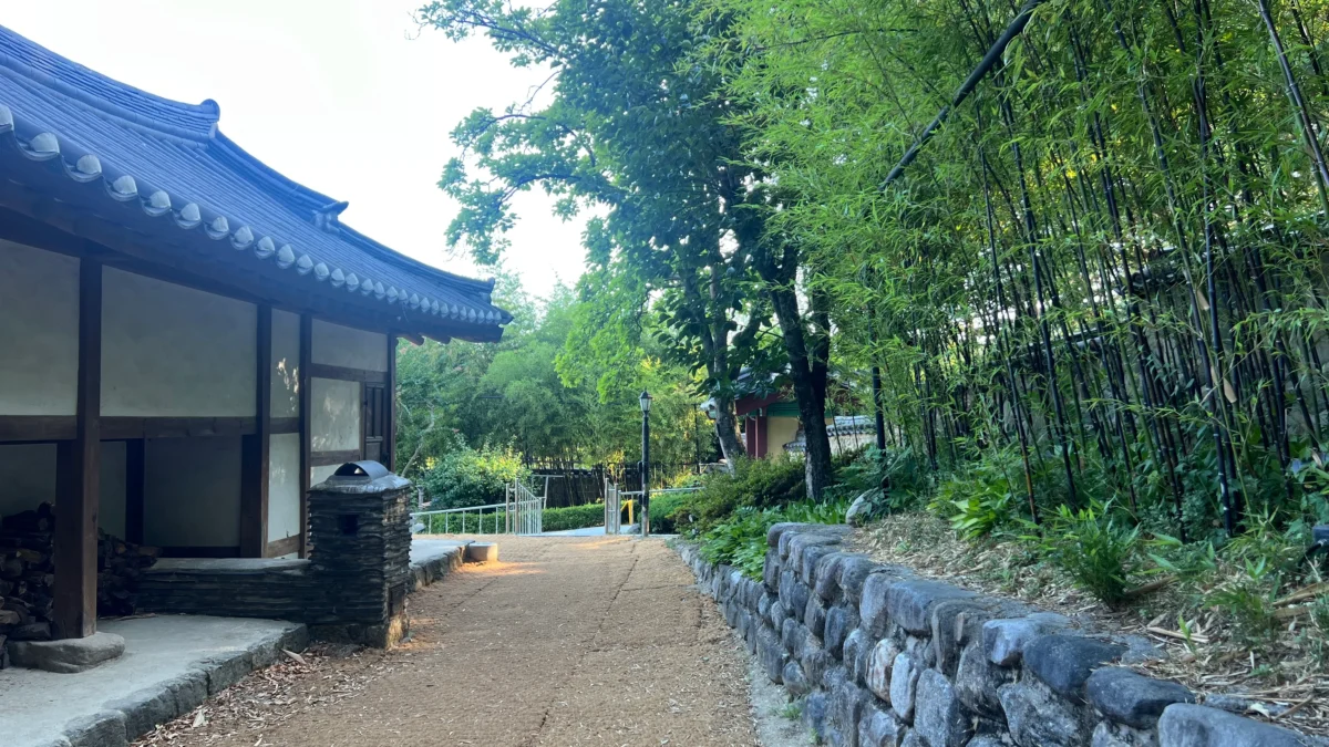 오죽헌 대나무